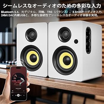 Amazon.co.jp: Sanyun SW206 4インチ HiFi ブックシェルフ
